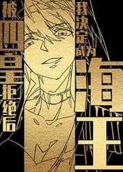 被四皇拒绝后我决定成为海王小说