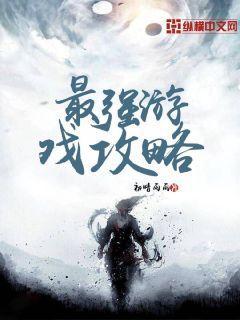最强游戏攻略小说