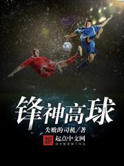 锋神高球小说