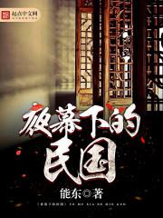 夜幕下的民国小说
