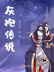 灰袍传说小说