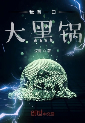 我有一口大黑锅小说