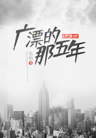 广漂的那五年小说