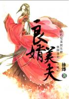 良婿美夫小说