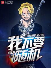 随机从海贼开始小说