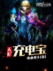 人形充电宝小说