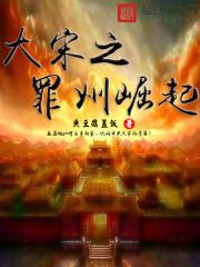 大宋之罪州崛起小说