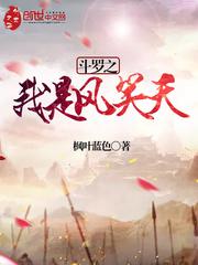 斗罗之我是风笑天小说