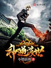 神通渡世小说
