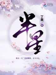 半星小说