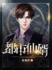 都市仙婿小说
