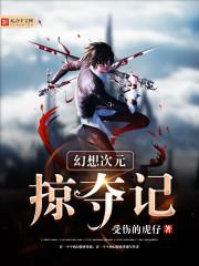 幻想次元掠夺记小说