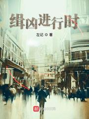 缉凶进行时小说