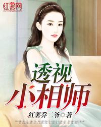 透视小相师小说