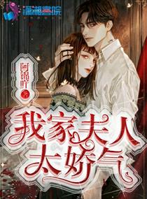 我家夫人太娇气小说