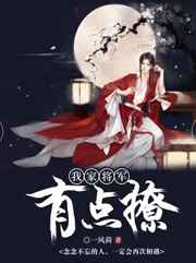 我家将军有点撩小说