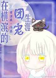 在横滨的团宠生涯小说