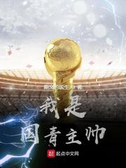 我是国青主帅小说