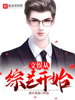 文娱从综艺开始小说