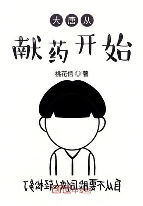 大唐从献药开始小说