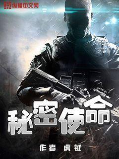 秘密使命小说