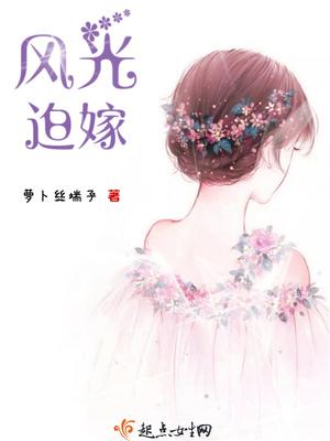 风光迫嫁小说
