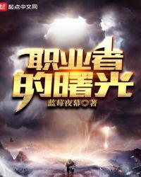 职业者的曙光小说