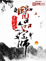 医品宗师小说