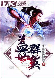 盖世群英小说