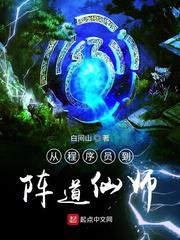 从程序员到阵道仙师小说