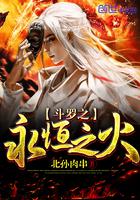 斗罗之永恒之火小说