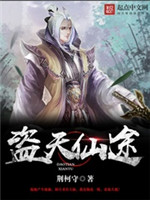 盗天仙途小说