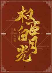 我是权臣白月光小说