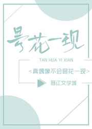 真偶像不会昙花一现小说