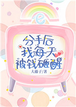 分手后我每天被钱砸醒小说