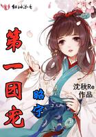 昭宁第一团宠小说