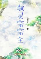 驭灵宗宗主小说