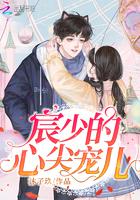 宸少的心尖宠儿小说