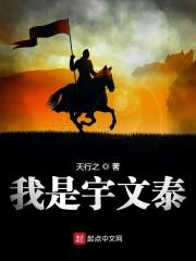 我是宇文泰小说
