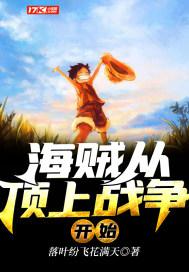 海贼从顶上战争开始小说