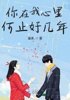 你在我心里何止好几年小说