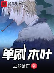 单刷木叶小说