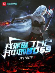 我提取了自己书中的BOSS小说