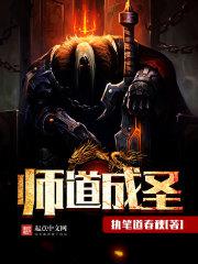 师道成圣小说