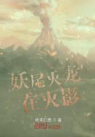 妖尾火龙在火影小说