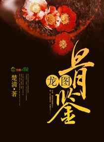 龙图骨鉴小说
