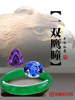 一双鹰瞳小说