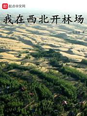 我在西北开林场小说