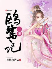 一滩鸥鹭记小说