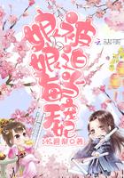 娘娘每天被迫当宠妃小说